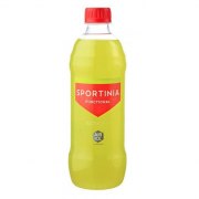 Заказать Вода Питьевая Sportinia Functional Isonorm 500 мл N