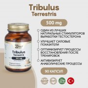 Заказать Debavit Tribulus 660 мг 90 капс